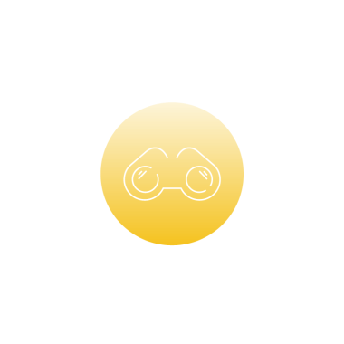 Insights and Forecasts